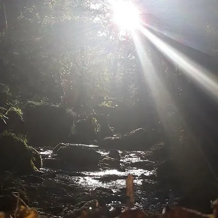 Bed & Breakfast Maison De La Monne