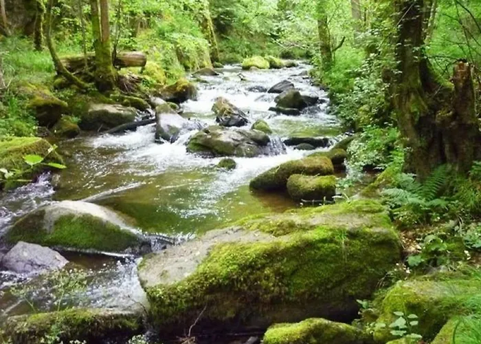 Maison De La Monne Olloix